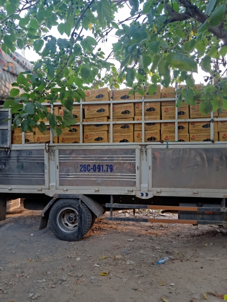 Hình ảnh nhà xưởng